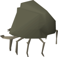 Rock crab (exposed).png